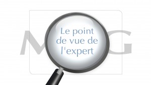 point-de-vue-de-l-expert